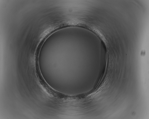X0000091460626200708161523