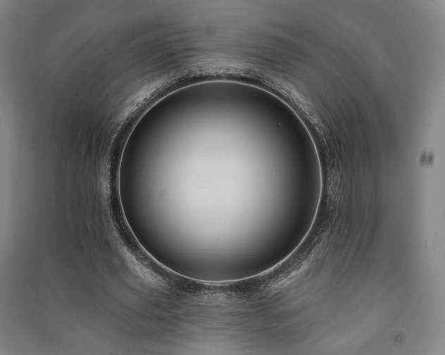 X0000091460629200708161523