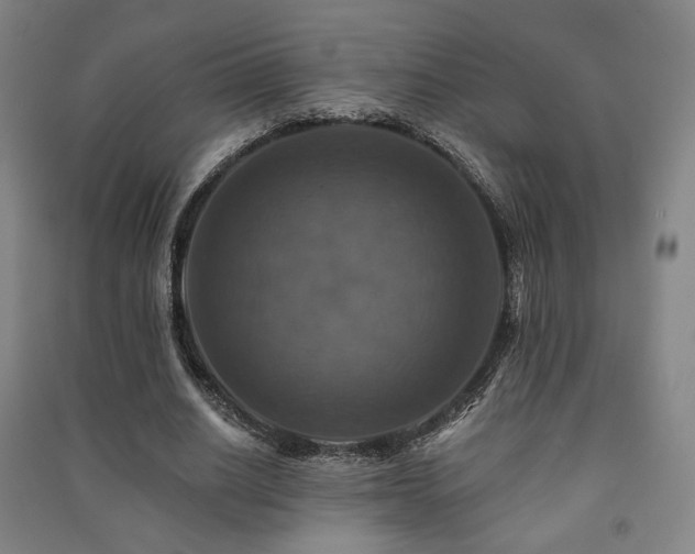 X0000091460630200708161523