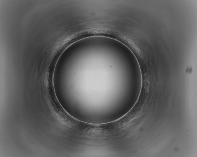 X0000091460631200708161523