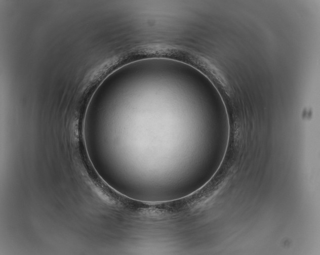 X0000091460633200708161523