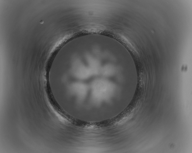X0000091460634200708161523