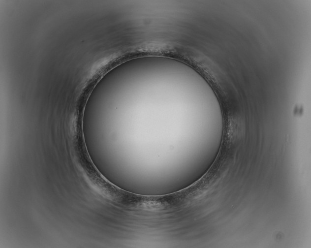X0000091460636200708161523