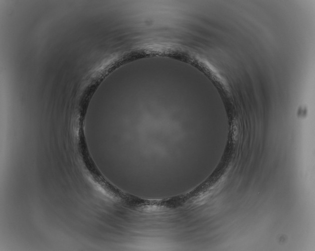 X0000091460637200708161523