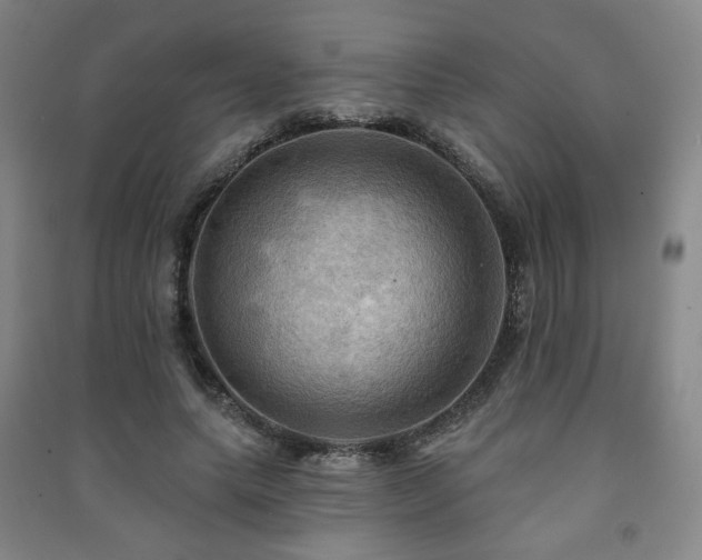 X0000091460639200708161523