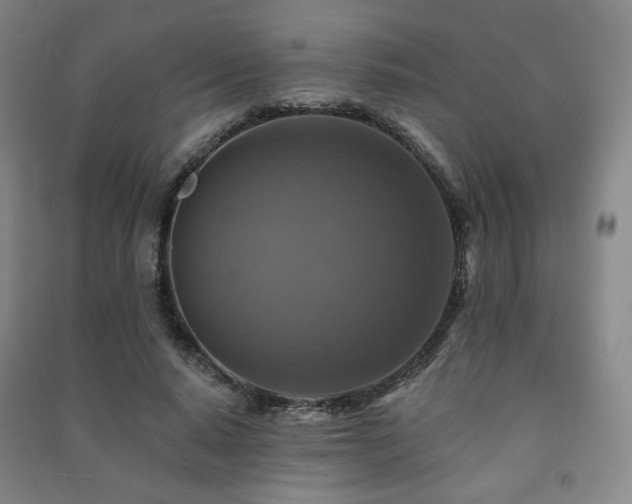 X0000091460640200708161523
