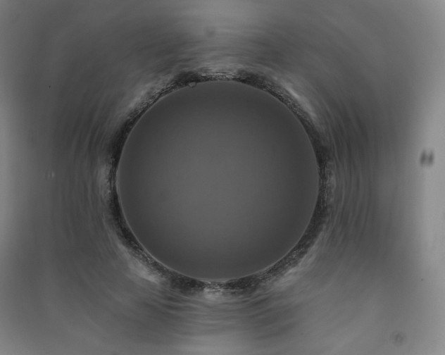 X0000091460641200708161523