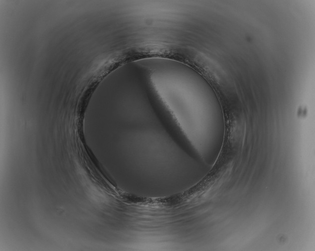 X0000091460643200708161523