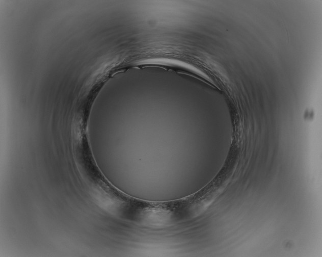 X0000091460644200708161523