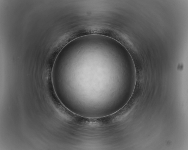 X0000091460645200708161523