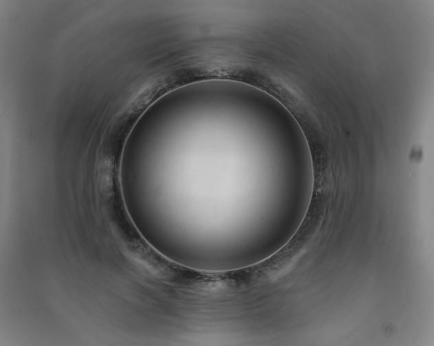 X0000091460646200708161523