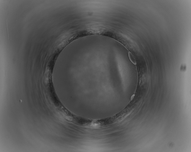 X0000091460647200708161523