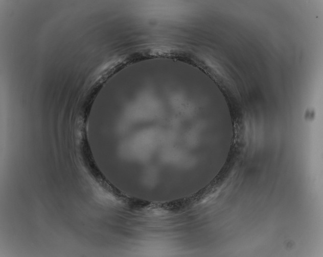 X0000091460648200708161523