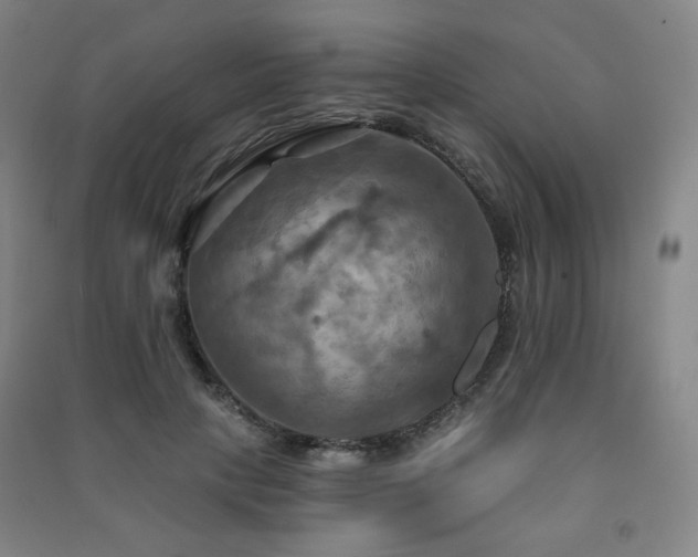 X0000091460649200708161523