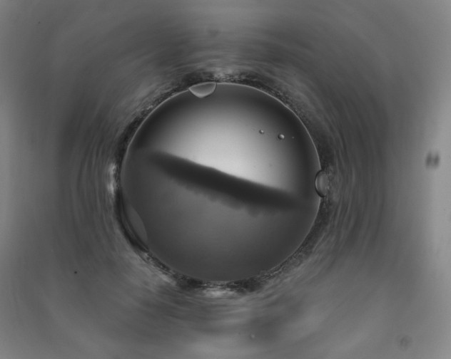 X0000091460650200708161523