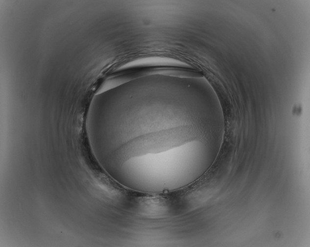 X0000091460652200708161523
