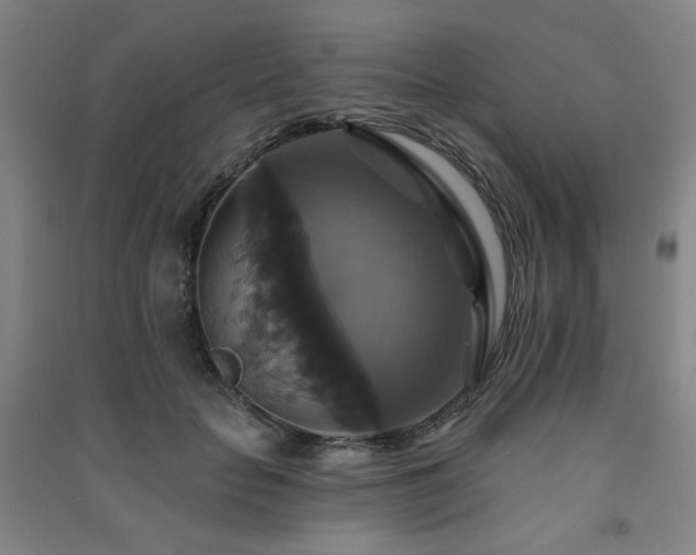 X0000091460653200708161523