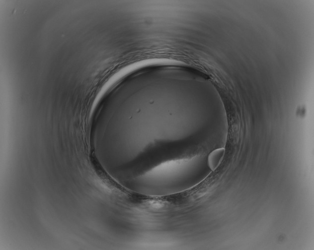 X0000091460654200708161523