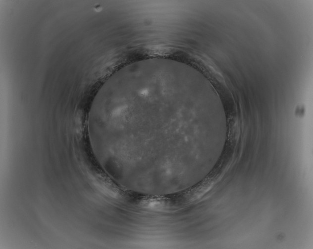 X0000091460655200708161523