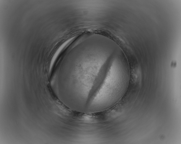 X0000091460657200708161523