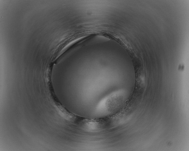 X0000091460658200708161523