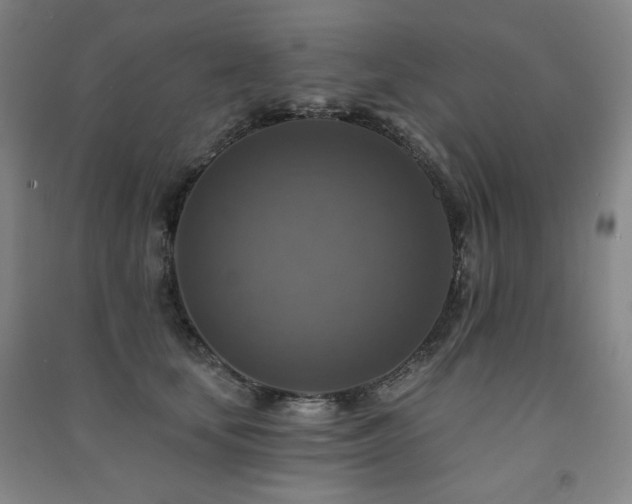 X0000091460659200708161523