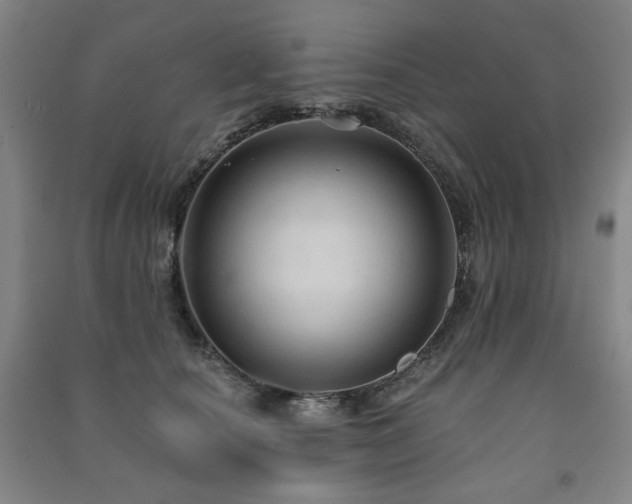 X0000091460660200708161523