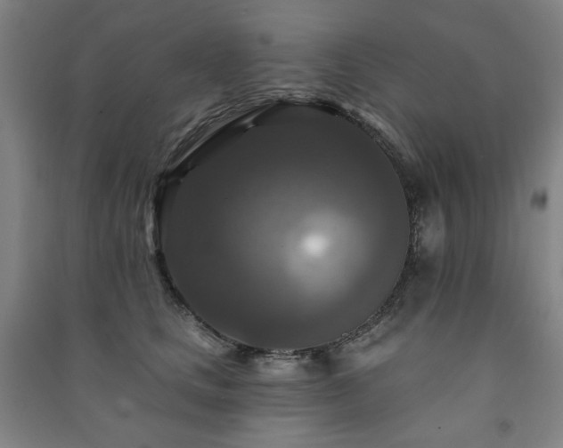 X0000091460661200708161523