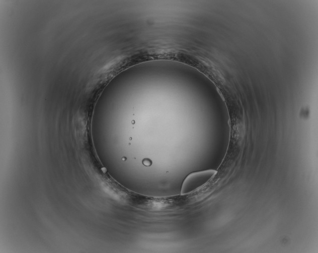 X0000091460662200708161523