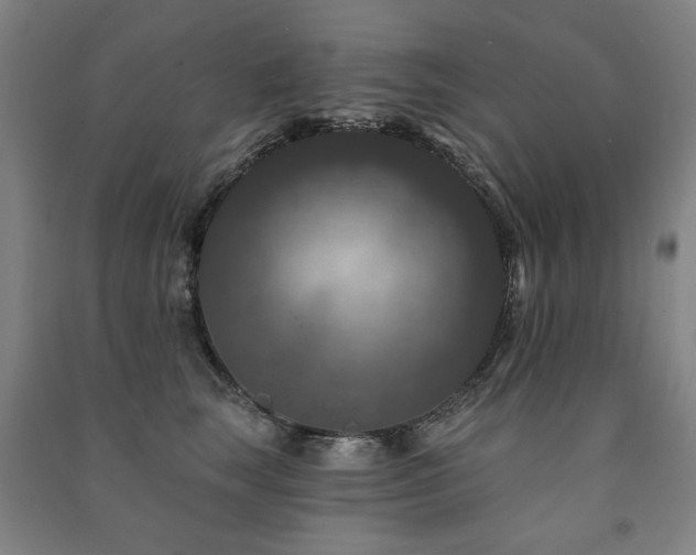 X0000091460663200708161523
