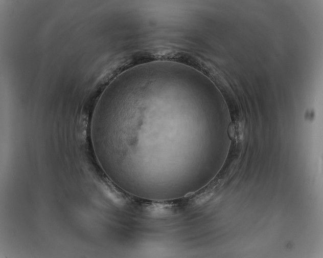 X0000091460664200708161523