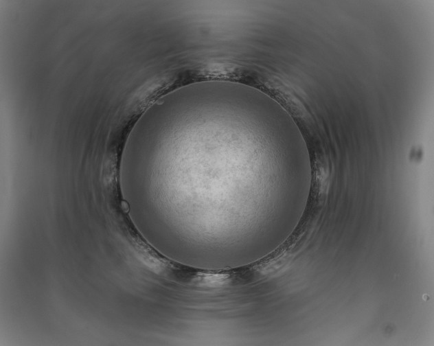 X0000091460665200708161523