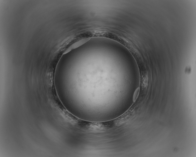 X0000091460666200708161523
