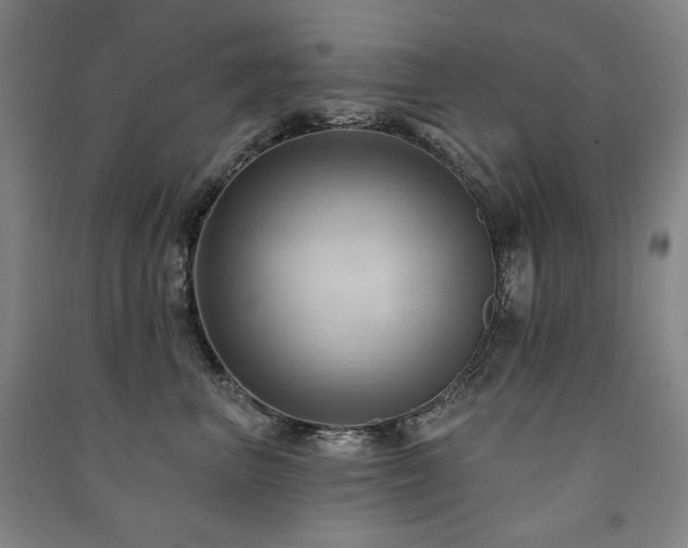 X0000091460667200708161523