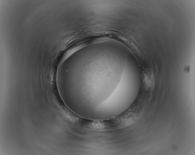 X0000091460668200708161523