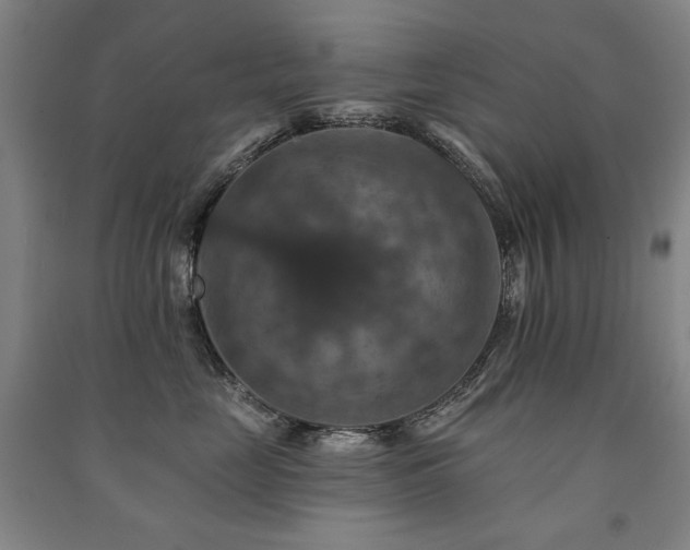 X0000091460669200708161523