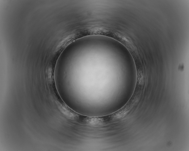 X0000091460670200708161523