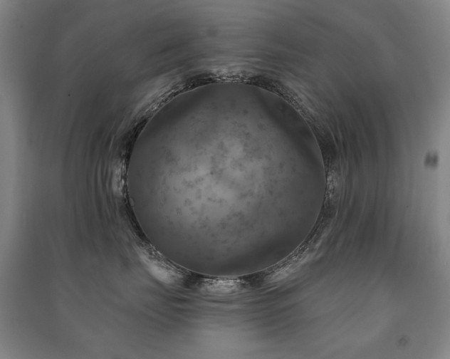 X0000091460671200708161523