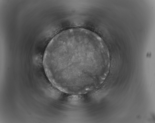 X0000091460672200708161523