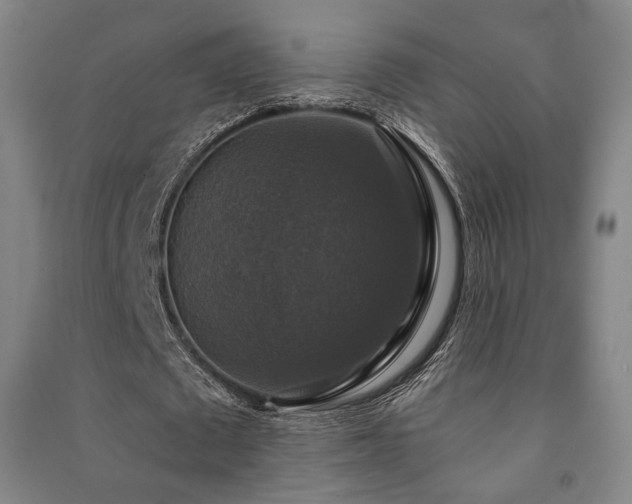 X0000091460673200708161523