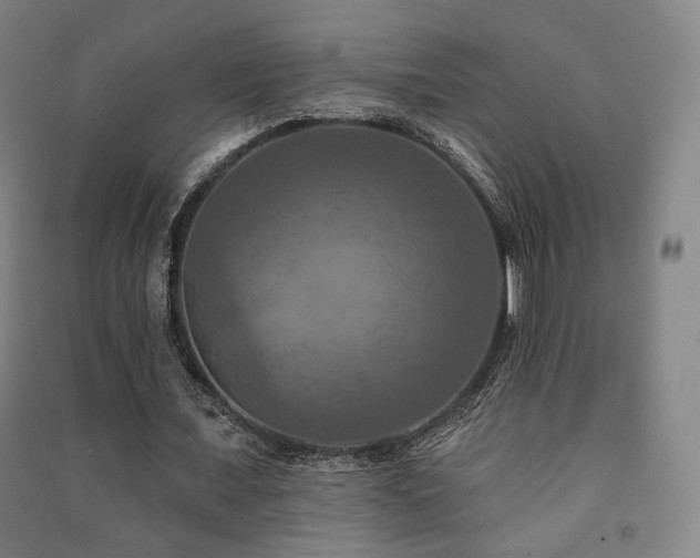 X0000091460675200708161523