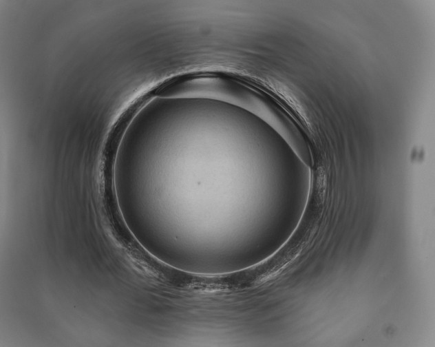 X0000091460676200708161523