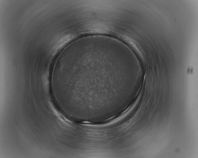 X0000091460677200708161523
