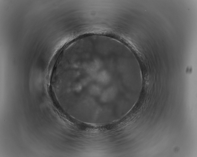 X0000091460679200708161523