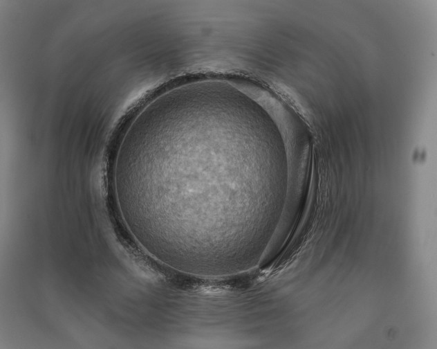 X0000091460680200708161523