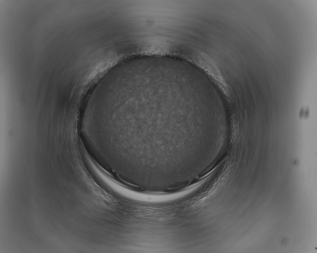 X0000091460681200708161523