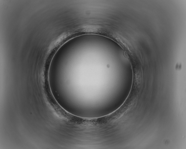 X0000091460682200708161523