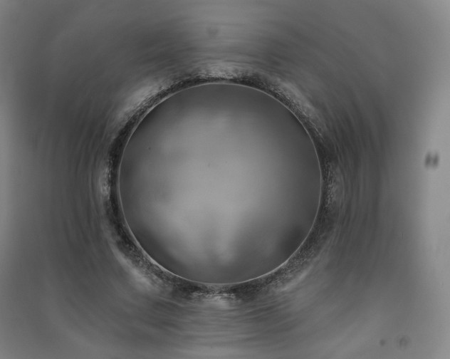 X0000091460683200708161523