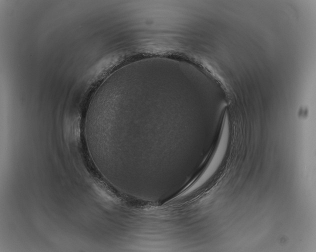 X0000091460685200708161523