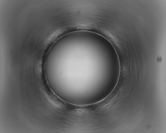 X0000091460686200708161523